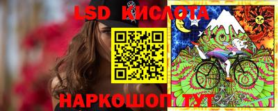 стаф Гай