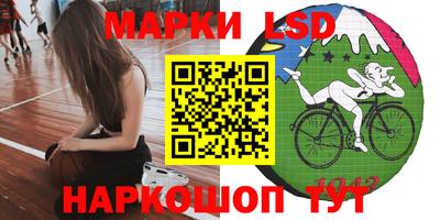 стаф Гай