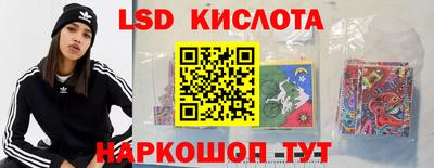 стаф Гай