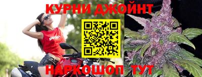 стаф Гай