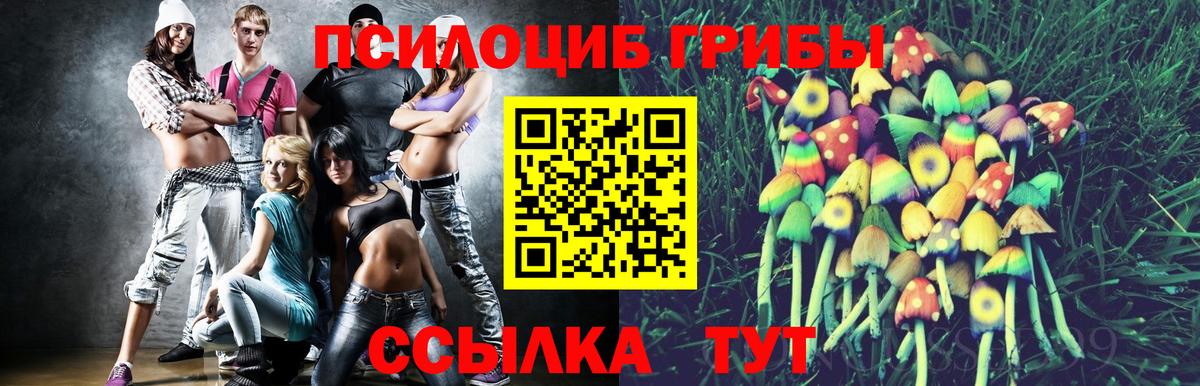 Псилоцибиновые грибы прущие грибы Нерюнгри